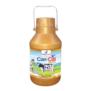 Can-Cal Maxima